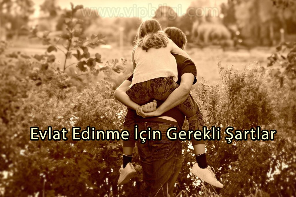 Evlat Edinme İçin Gerekli Şartlar