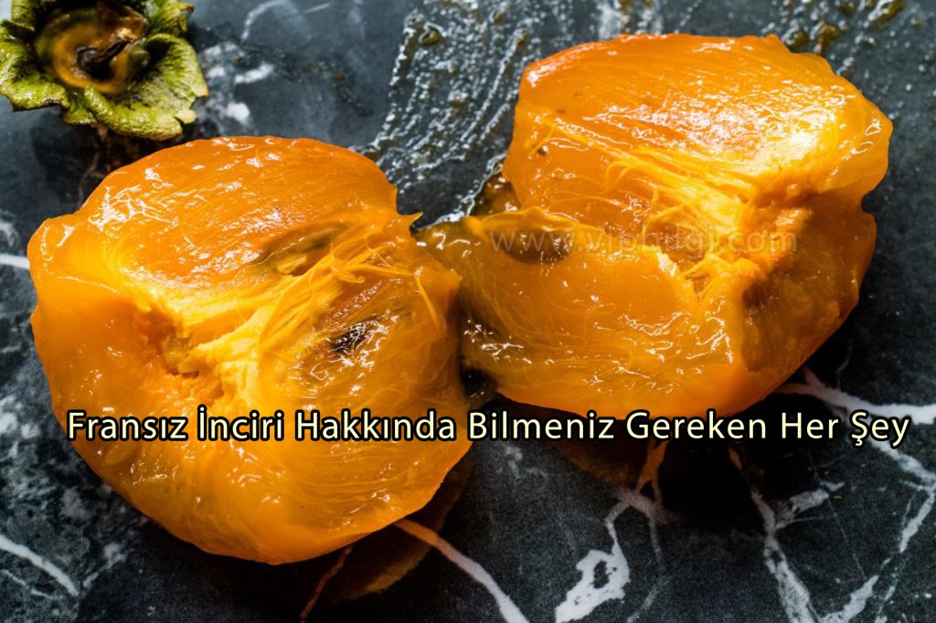 Fransız İnciri Hakkında Bilmeniz Gereken Her Şey